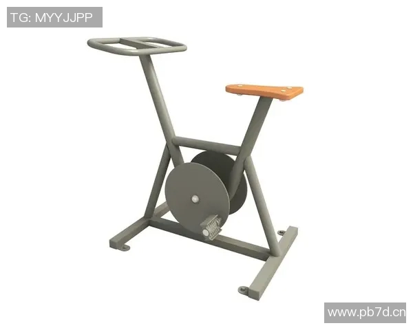 英派斯室内健身器材的优势与使用心得